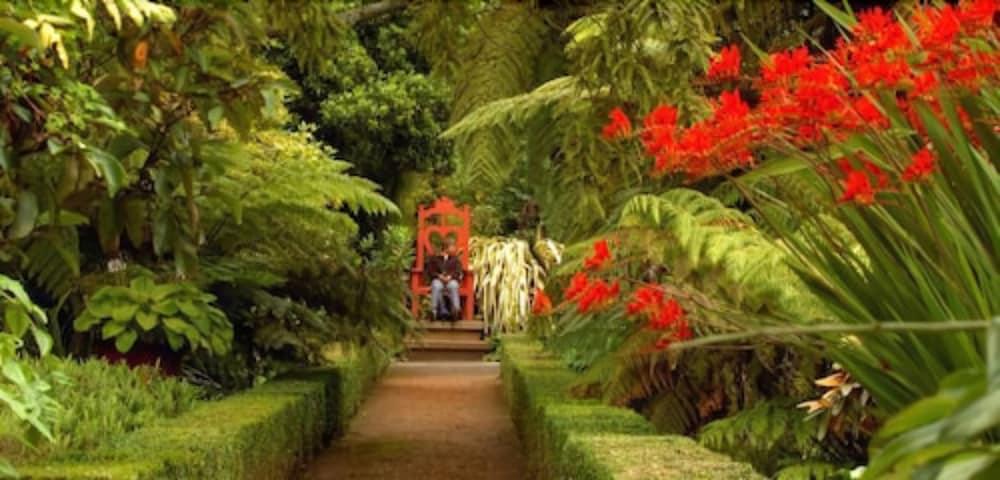 Vila Camp Estate By Larnach Castle Dunedin Exteriér fotografie